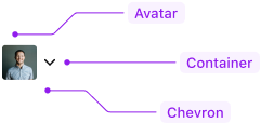 Toggle avatar anatomy